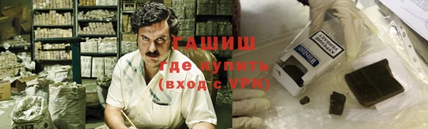 индика Алзамай