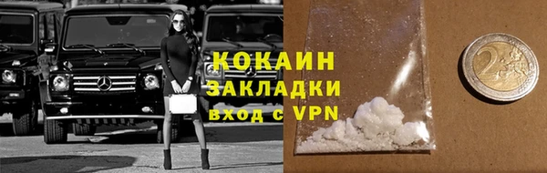 индика Алзамай