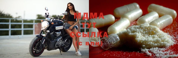индика Алзамай