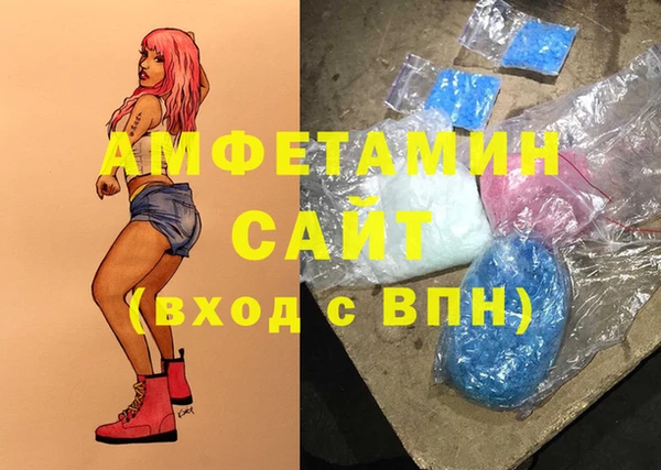 индика Алзамай