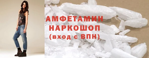 индика Алзамай
