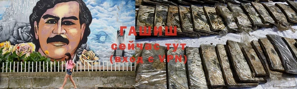 индика Алзамай