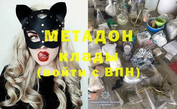 индика Алзамай