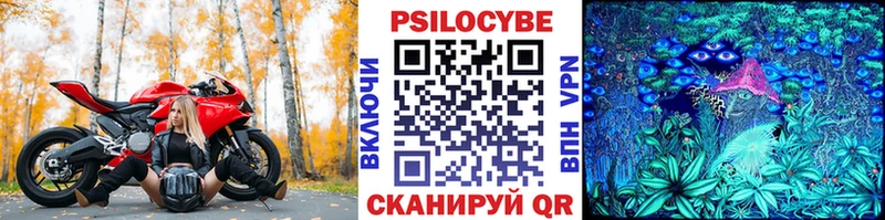 Галлюциногенные грибы мицелий  где продают   Курганинск 