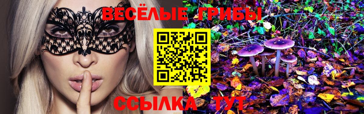Псилоцибиновые грибы мицелий Курганинск