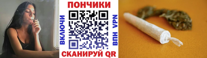 где найти   Курганинск  Шишки марихуана SATIVA & INDICA 